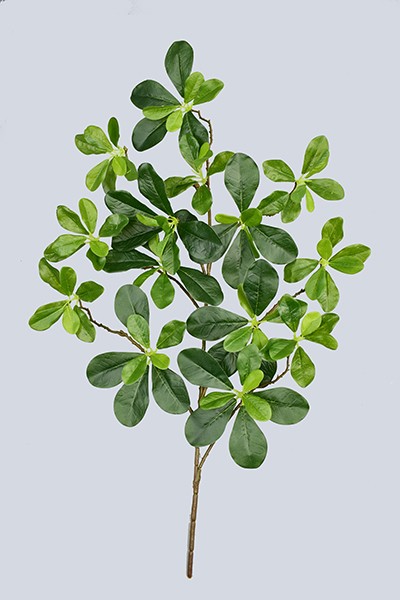 Artificial Plants Spray black Olive Spray W/105lvs--green