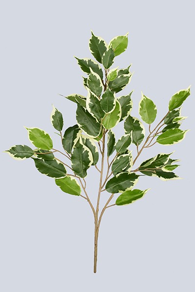 Artificial Plants Spray 64cm Ficus Spray W/42lvs--green/white