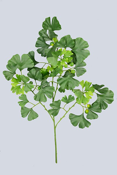 Artificial Plants Spray 72cm Gingko Spray X4 W/51lvs & 15fruit--d/l Green